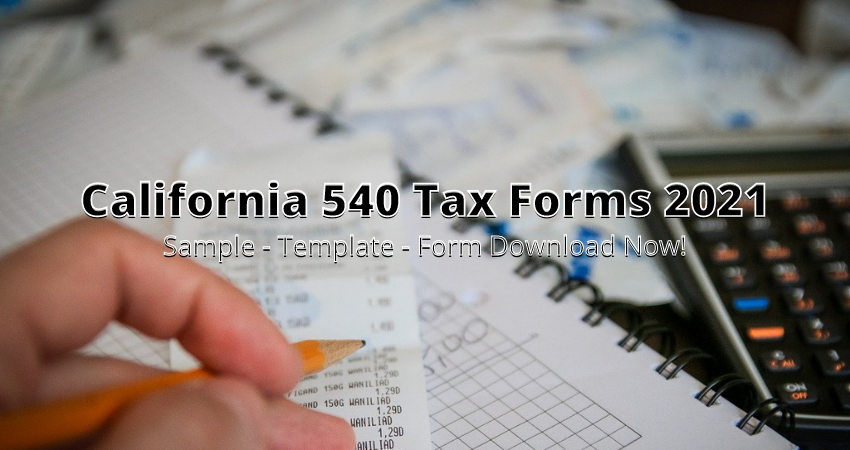 2021 california tax form 540 2ez