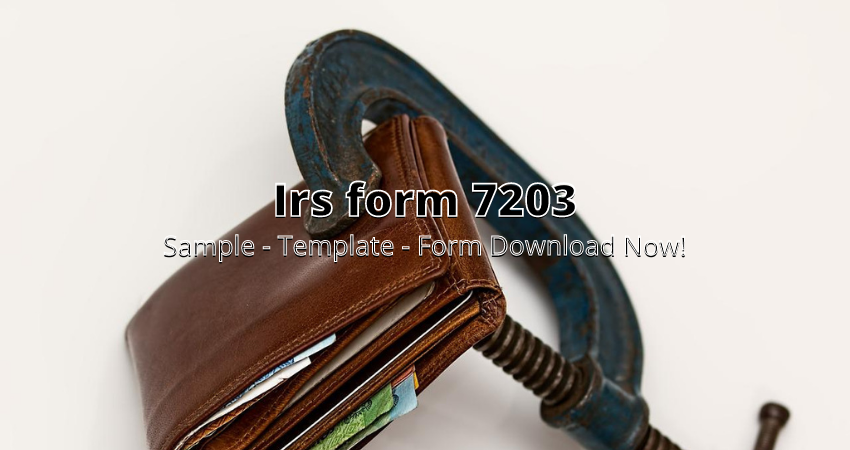 form 7203 irs